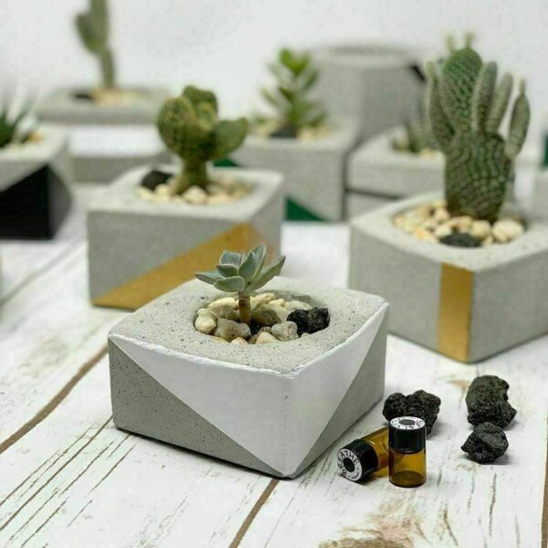 Concrete Succulent Diffuser